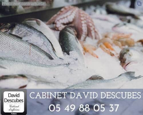 Poissonnerie · Fonds de commerce — photo 1