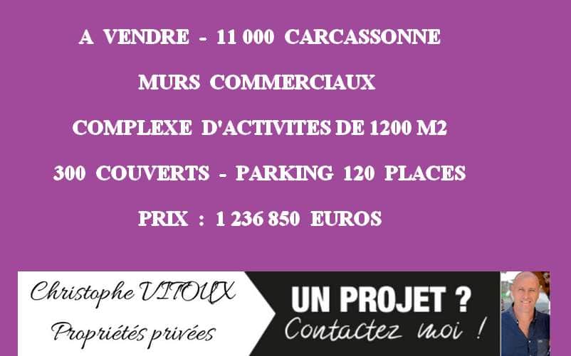 Local commercial · 1200 m² · Fonds de commerce — photo 1