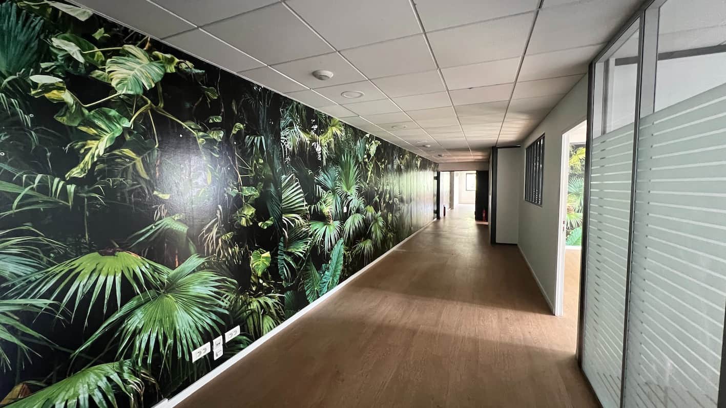Local commercial · 260 m² · Cession de bail — photo 1