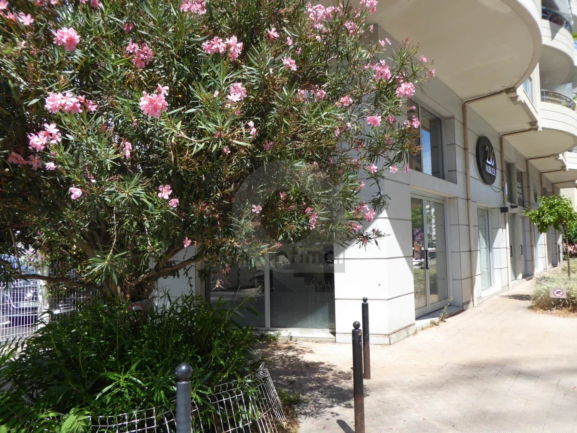 Local commercial · 220 m² · Achat des murs — photo 1