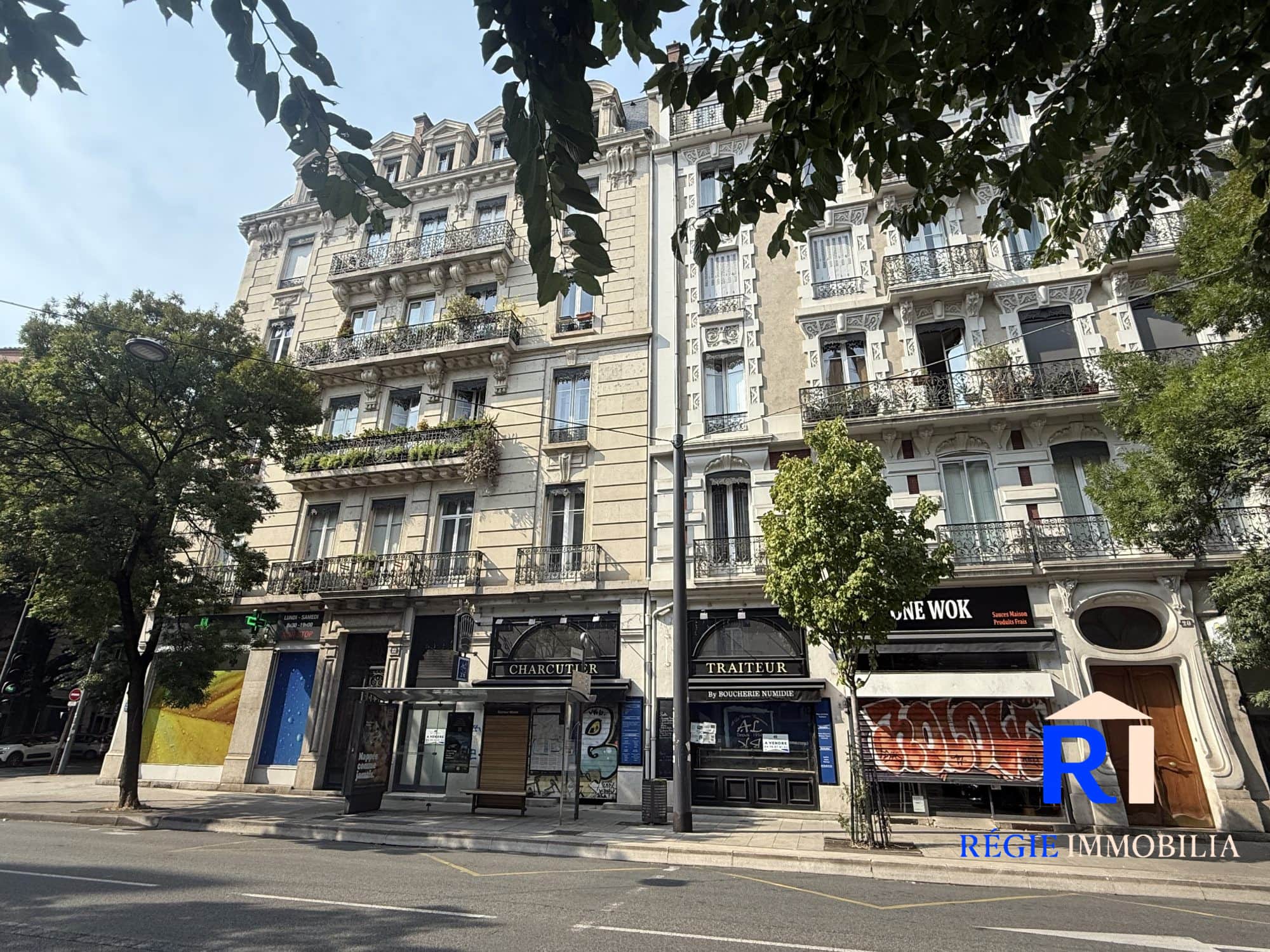 Local commercial · 223 m² · Achat des murs — photo 1