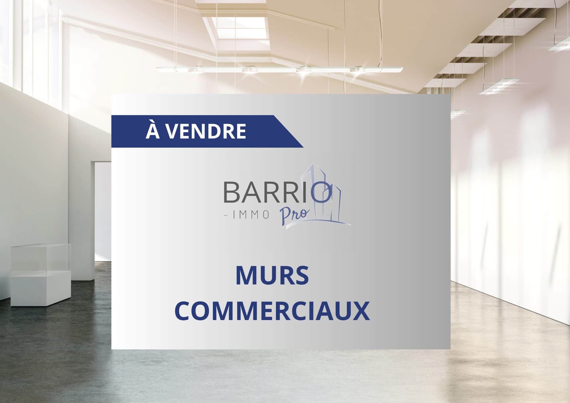 Local commercial · 50 m² · Achat des murs — photo 1