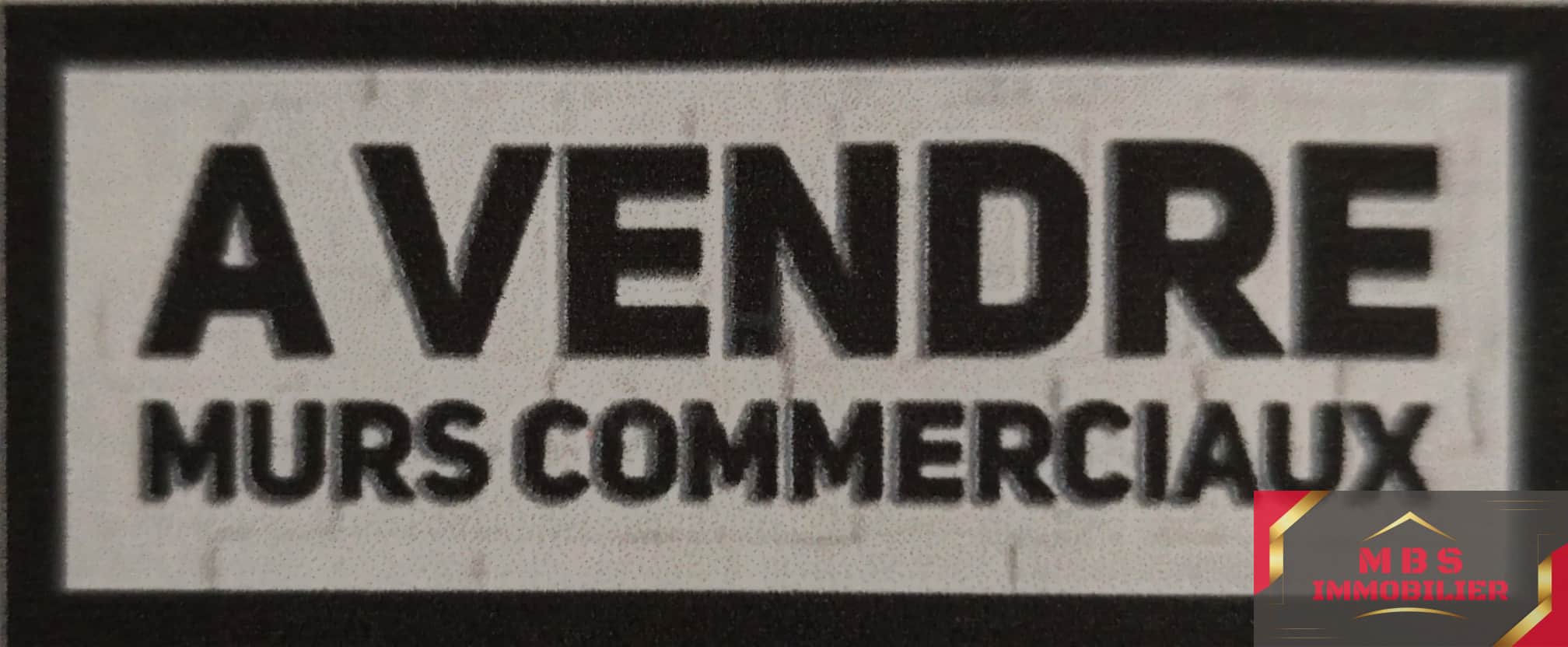 Local commercial · 55 m² · Achat des murs — photo 1