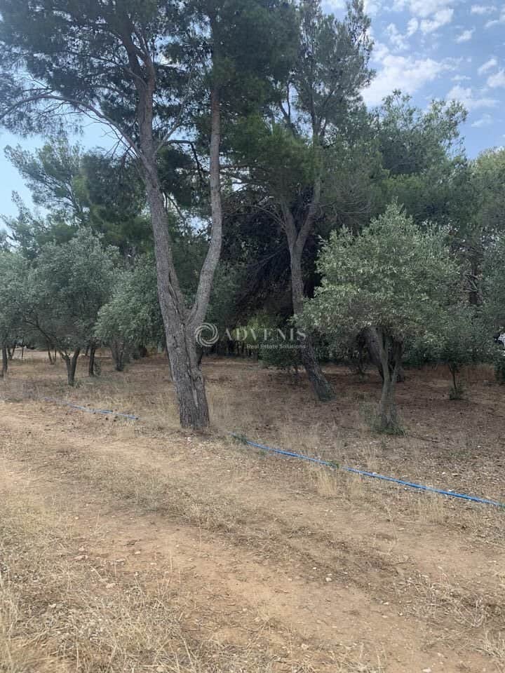 Local commercial · 250 m² · Achat des murs — photo 1