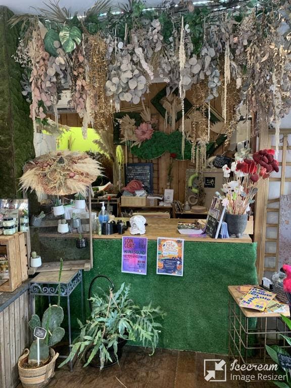 fleurs Martigues 13500 — photo 1