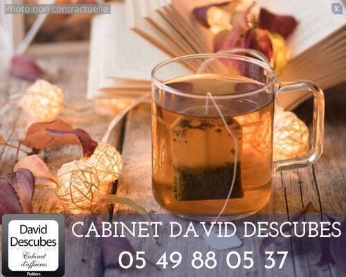 salon de thé - licences - traiteur Poitiers 86000 — photo 1