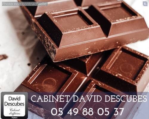Boulangerie chocolatier patisserie · 300 m² · Fonds de commerce — photo 2