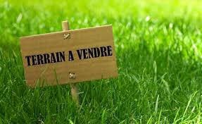 Local commercial · 182 m² · Achat des murs — photo 2