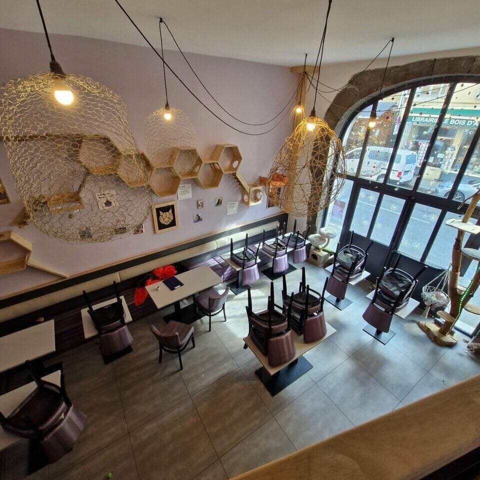 Salon de the · 120 m² · Achat des murs — photo 2