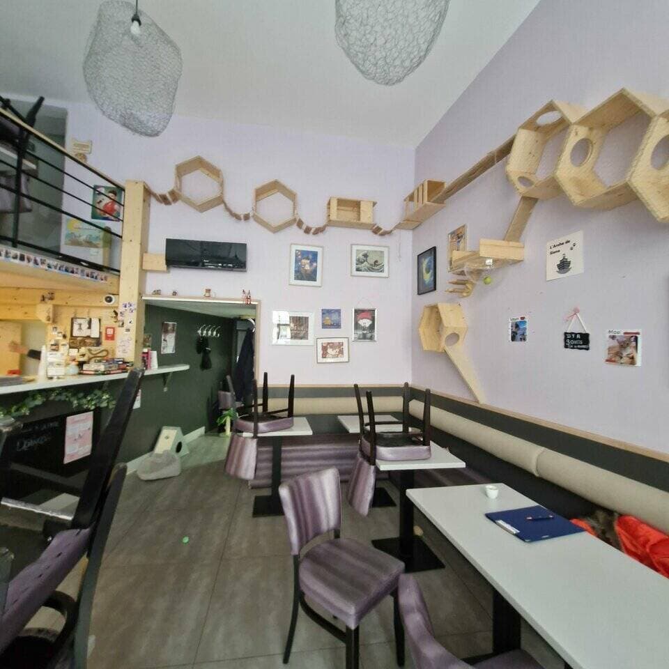 Salon de the · 120 m² · Achat des murs — photo 3