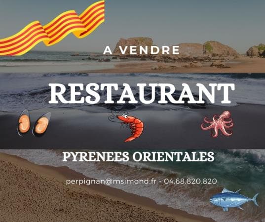 Local commercial — Pyrénées-Orientales — photo 1