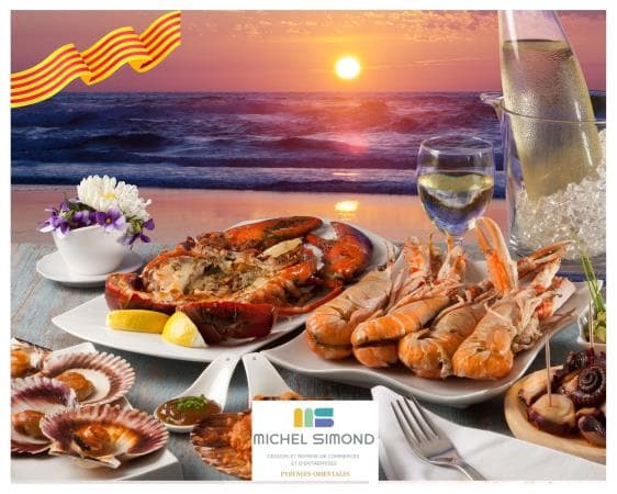 Local commercial — Pyrénées-Orientales — photo 1