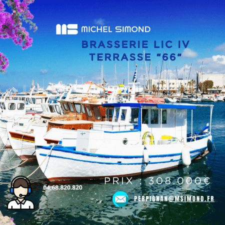 Local commercial — Pyrénées-Orientales — photo 1