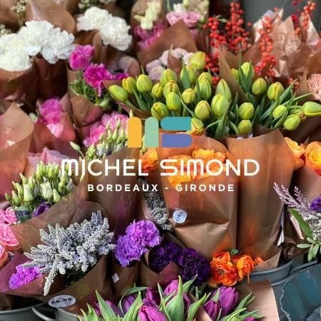 Local commercial — BORDEAUX — photo 1