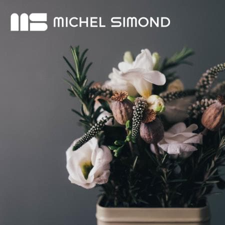 Fleuriste var ouest proche toulon et stations balneaires prix de cession et loyer attractifs boutique 30 m2 reserve 30 m2 · 30 m² · Fonds de commerce — photo 1