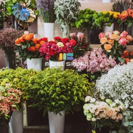 Local commercial 30 m² — LISIEUX — photo 1