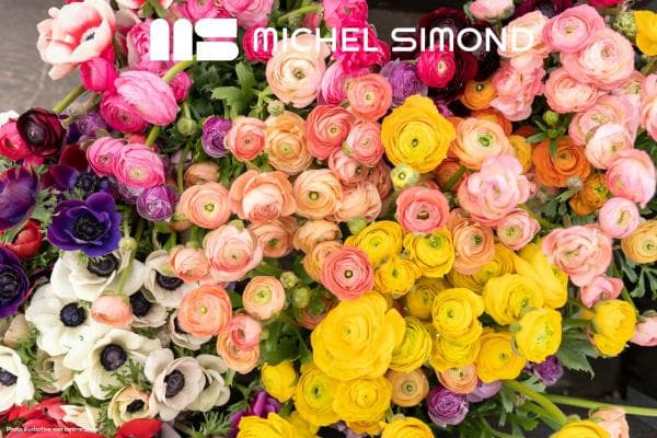 Local commercial 53 m² — Ille-et-Vilaine — photo 1