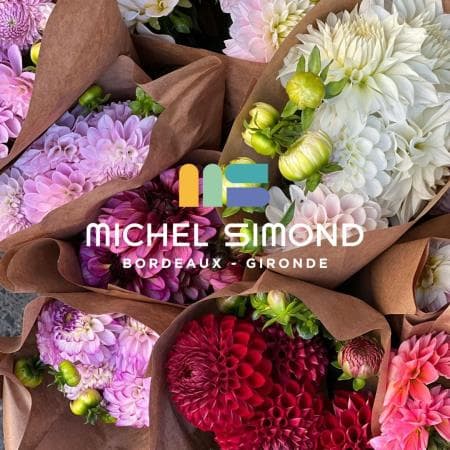 Local commercial — Gironde — photo 1