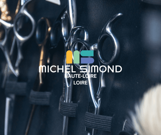 Local commercial 80 m² — Loire — photo 1