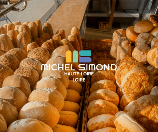 Local commercial 250 m² — ST ETIENNE — photo 1