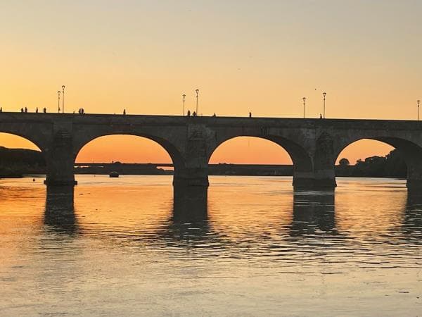 Local commercial — Maine-et-Loire — photo 1