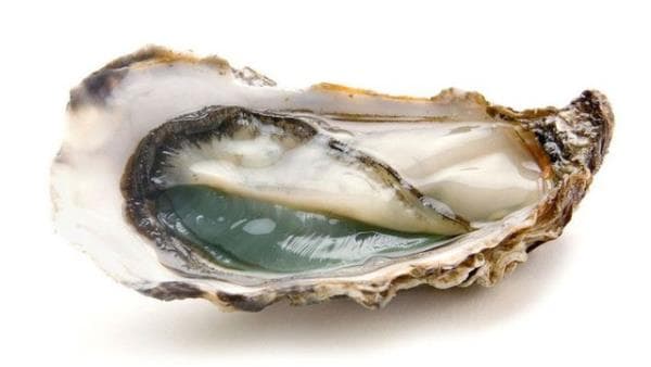 Local commercial — Bouches-du-Rhône — photo 1