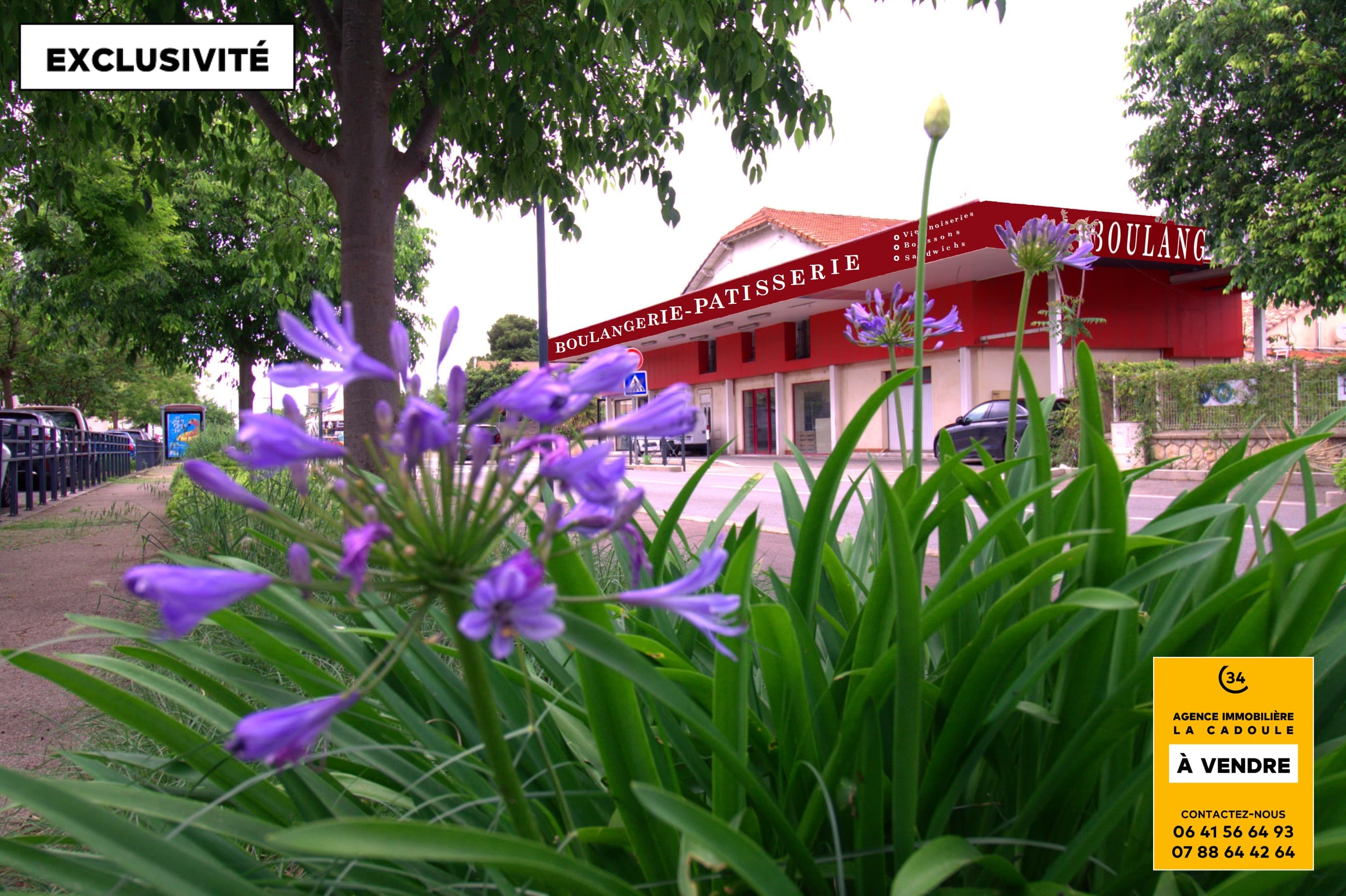 Local commercial 240 m² — HERAULT — photo 1