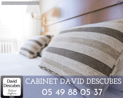 Local commercial — LA ROCHE SUR YON — photo 1