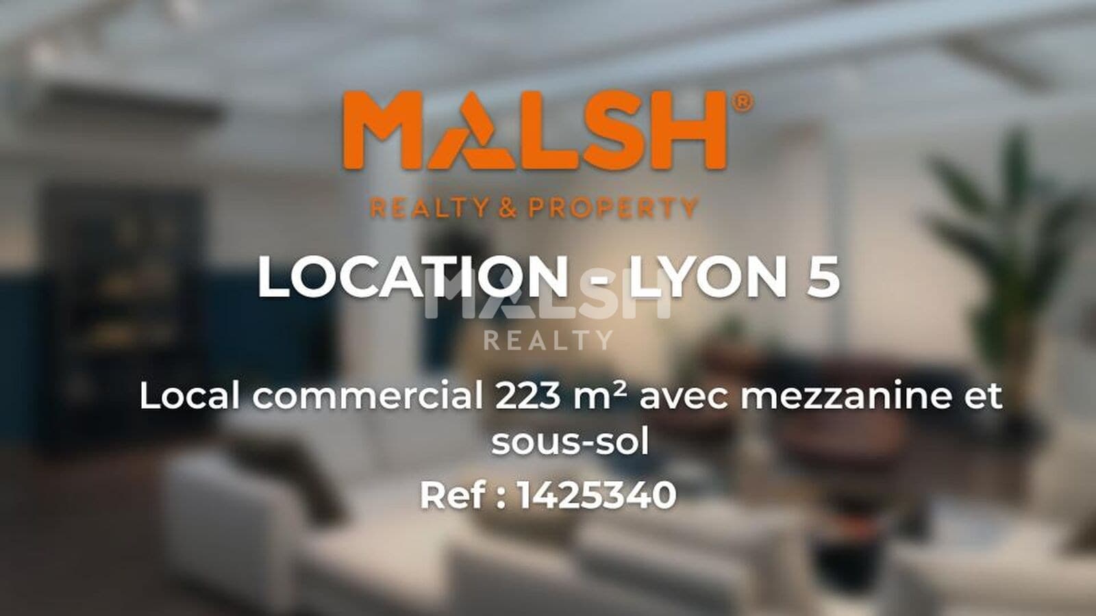 Local commercial · 223 m² · Location — photo 2