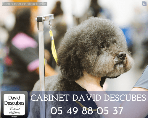 Local commercial 32 m² — POITIERS — photo 1