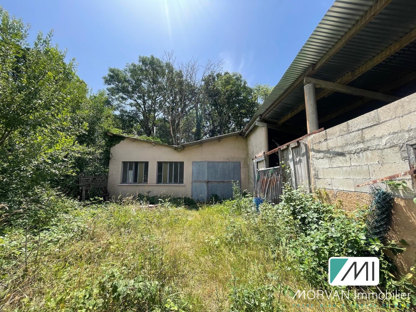 Local commercial · 343 m² · Achat des murs — photo 3