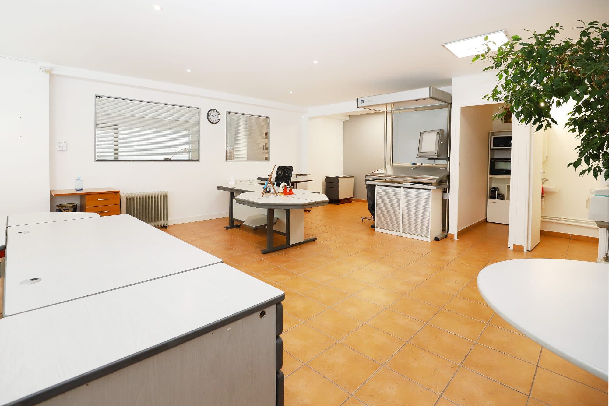 Local commercial · 156 m² · Achat des murs — photo 3