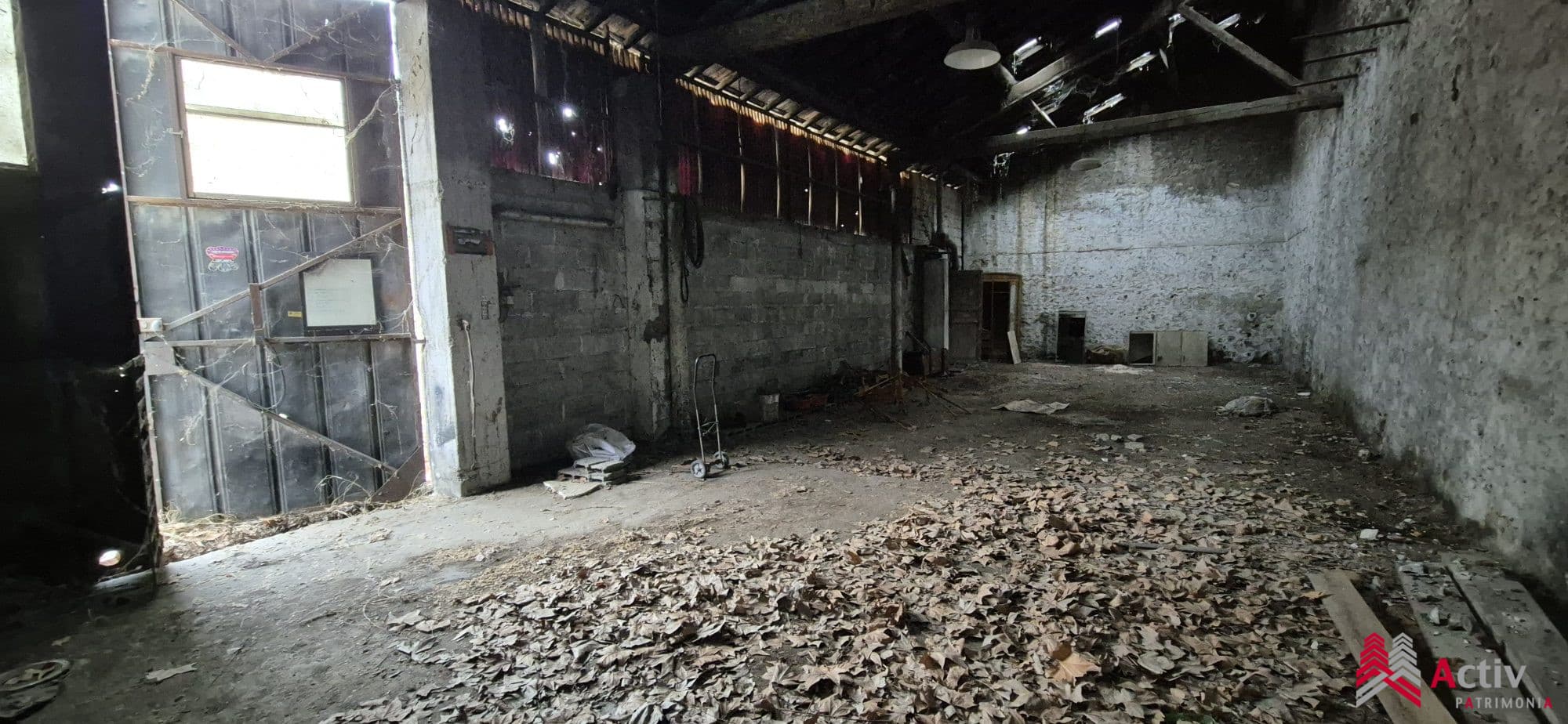 Local commercial · 150 m² · Achat des murs — photo 3