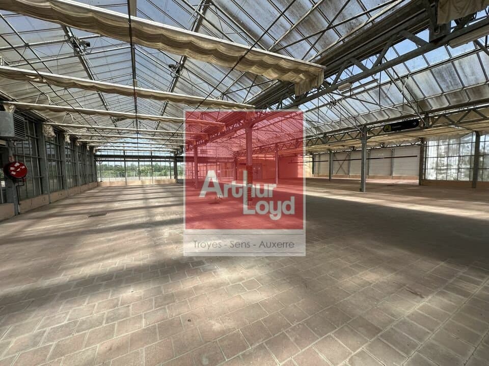 Local commercial · 1769 m² · Achat des murs — photo 3