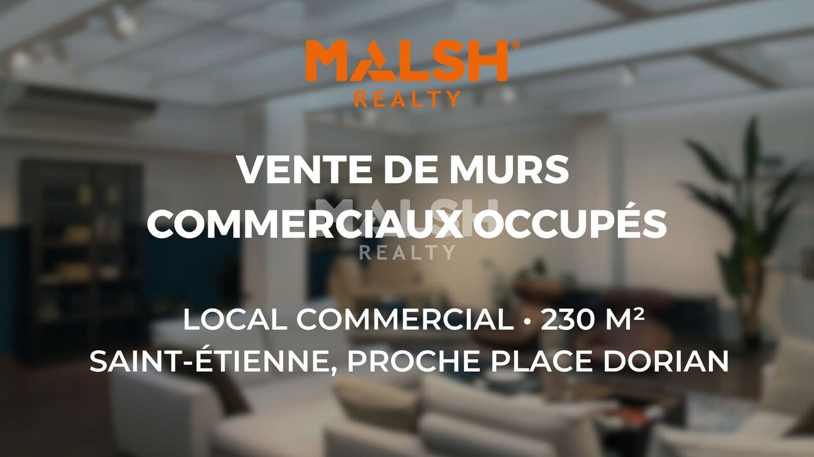 Local commercial 230 m² — LOIRE — photo 1