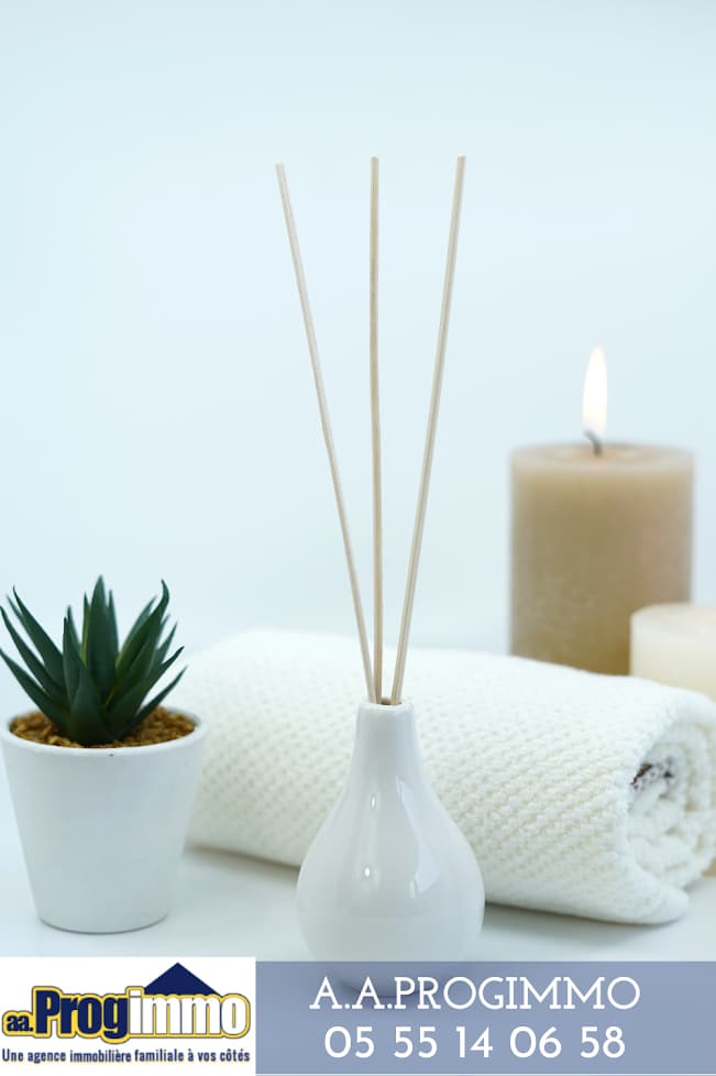 Local commercial — HAUTE VIENNE — photo 1