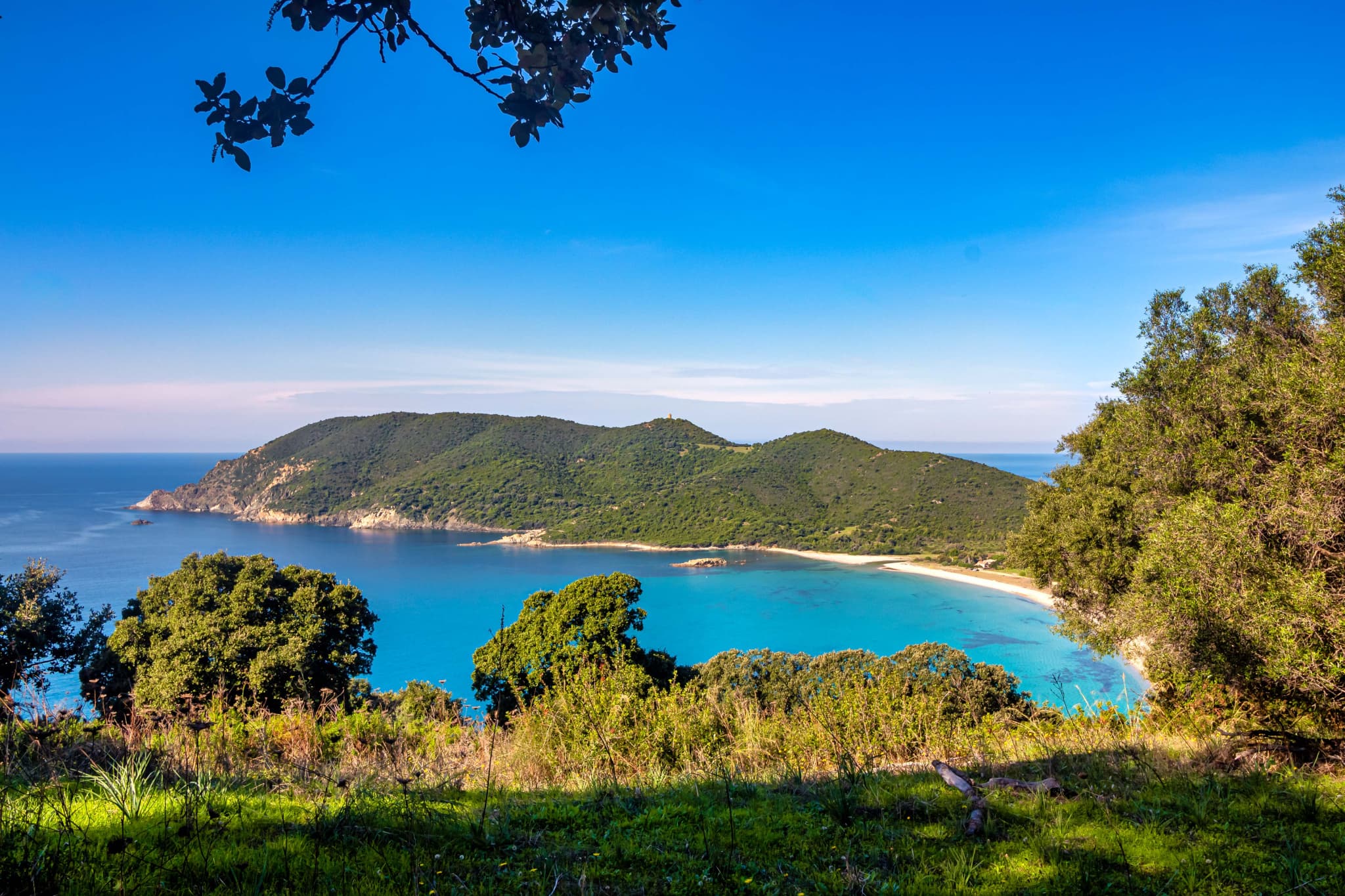 Local commercial — AJACCIO — photo 1