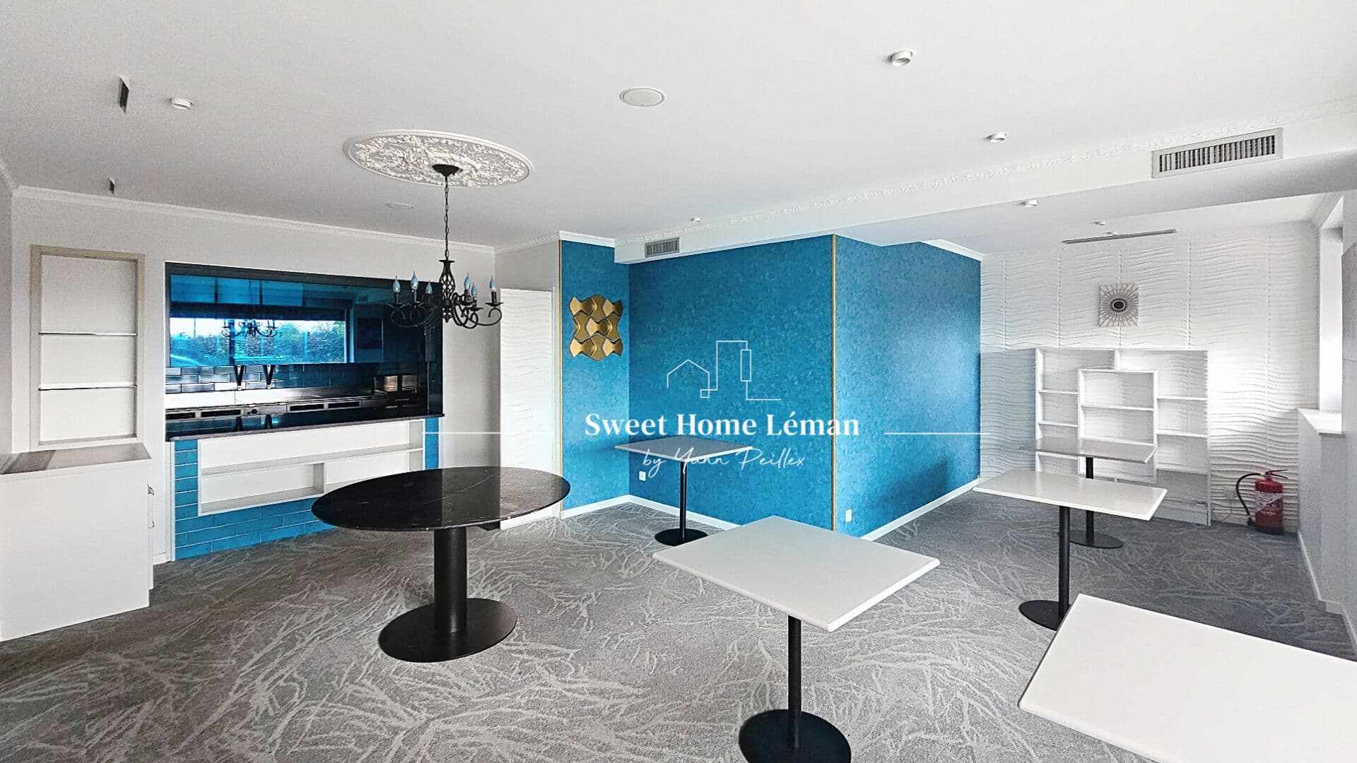 Local commercial 100 m² — HAUTE SAVOIE — photo 1