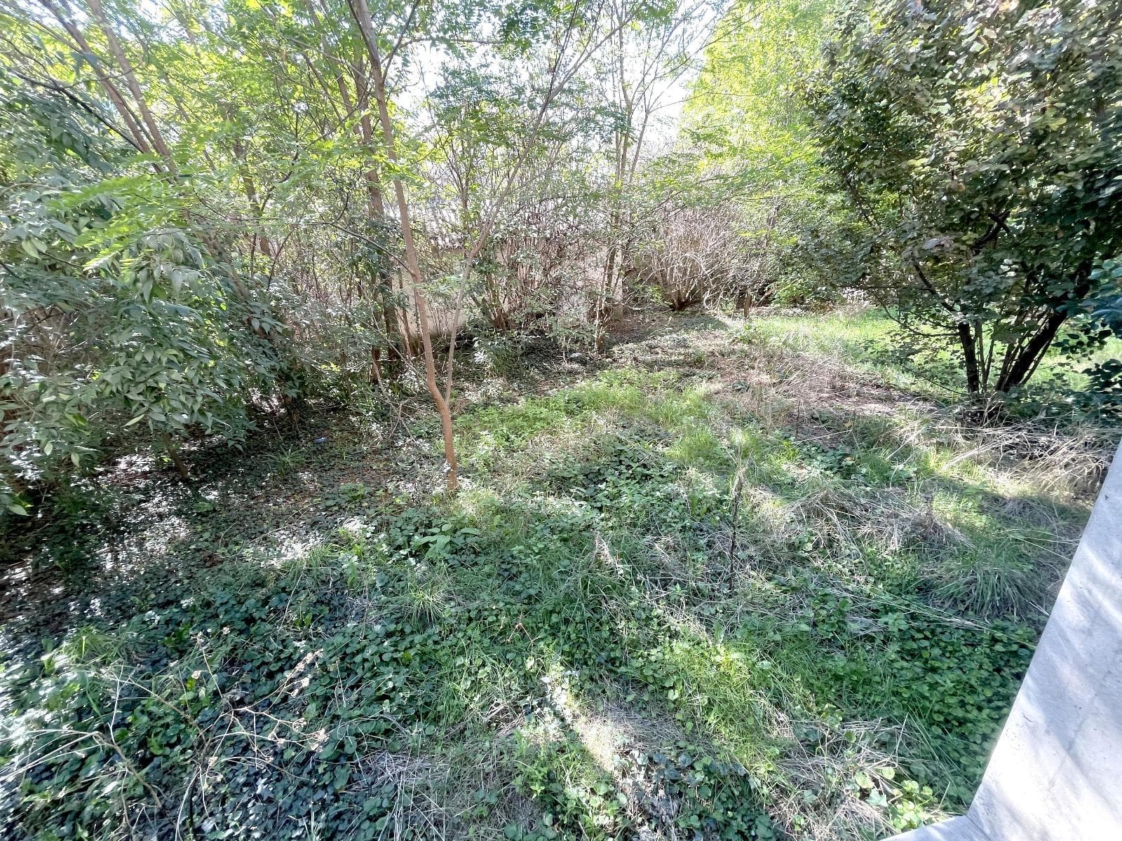 Local commercial 245 m² — AVEYRON — photo 1