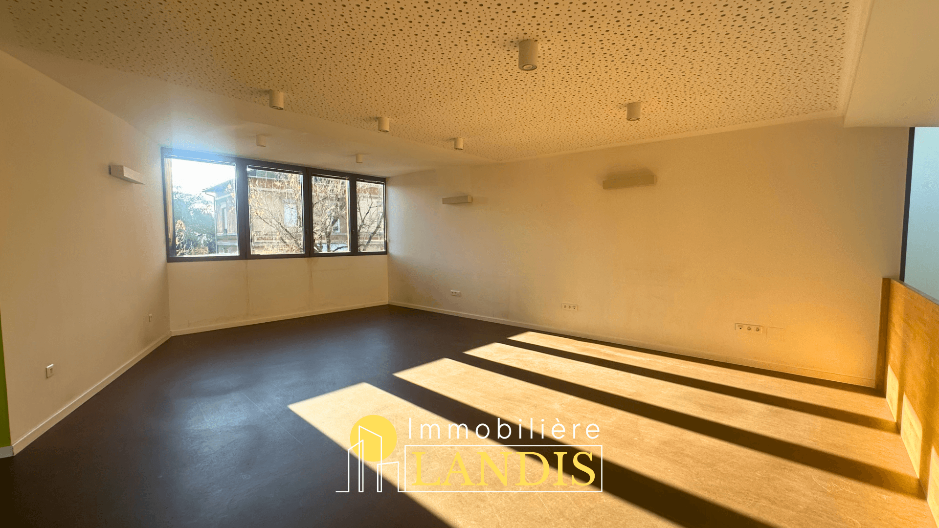 Local commercial 116 m² — SELESTAT — photo 1