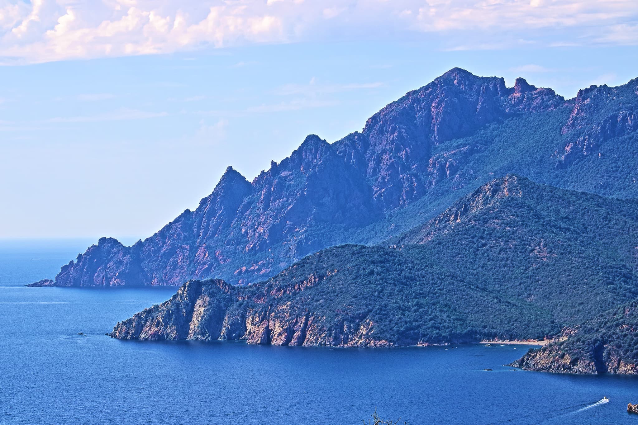 Local commercial — CALVI — photo 1