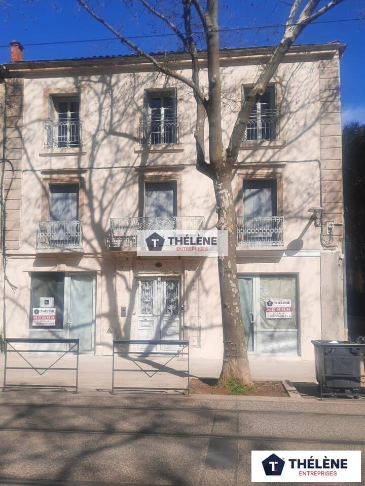 Local commercial · 53 m² · Achat des murs — photo 1