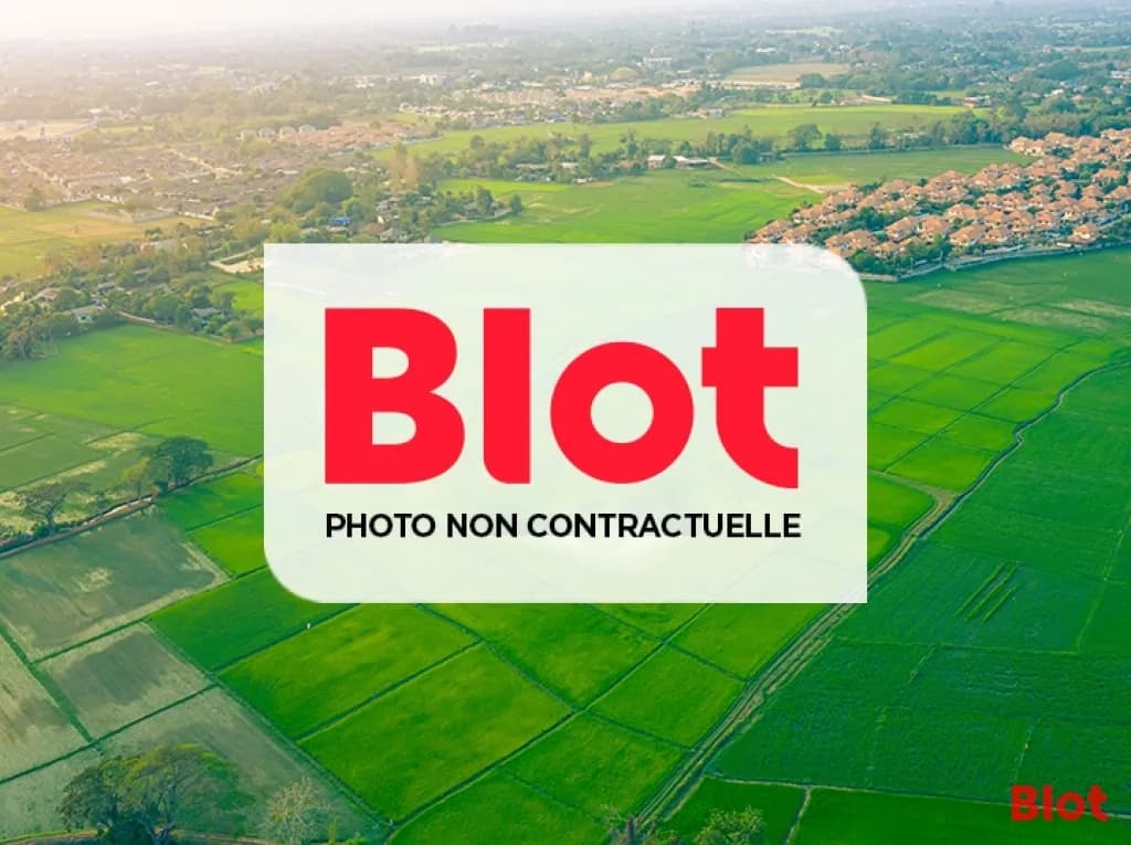 Local commercial · 420 m² · Location — photo 3