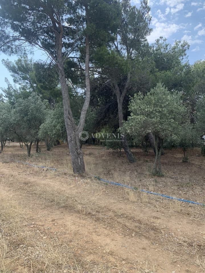 Local commercial · 250 m² · Achat des murs — photo 2