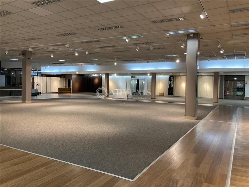 Local commercial · 2393 m² · Achat des murs — photo 1
