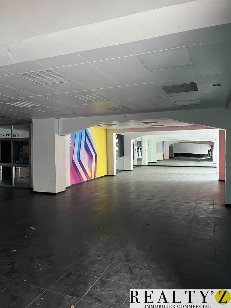 Murs commerciaux · 1000 m² · Achat des murs — photo 1