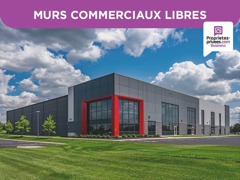Murs commerciaux · 420 m² · Achat des murs — photo 1