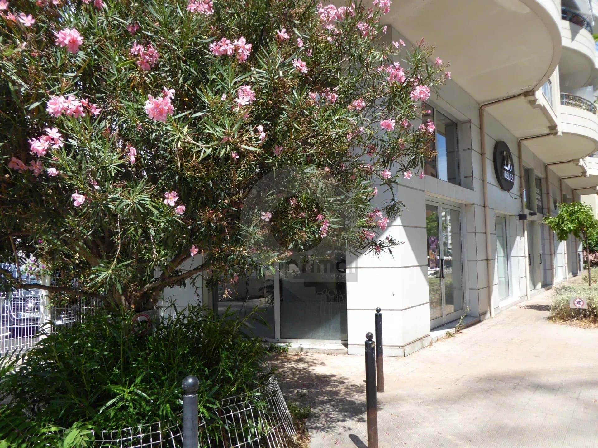 Local commercial · 220 m² · Achat des murs — photo 1