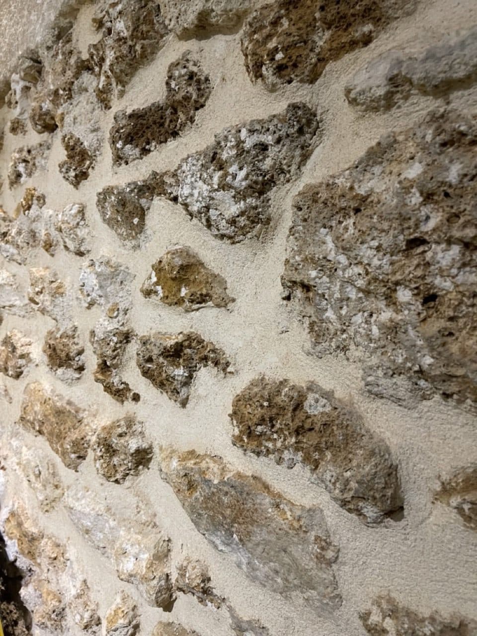 Restauration rapide froide · 45 m² · Fonds de commerce — photo 1