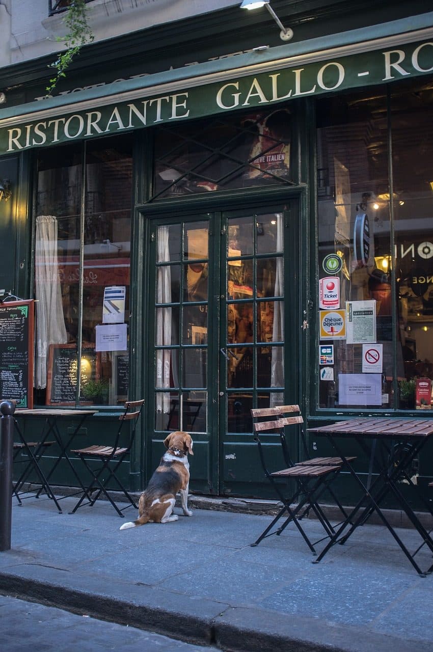 Restaurant · 92 m² · Fonds de commerce — photo 1
